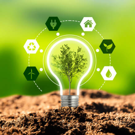Environmental sustainability initiative at Anugraha Fashion Mill