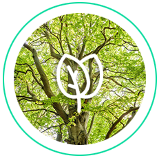 Environmental sustainability initiative at Anugraha Fashion Mill